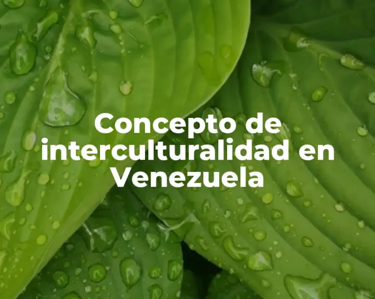 Concepto de interculturalidad en Venezuela