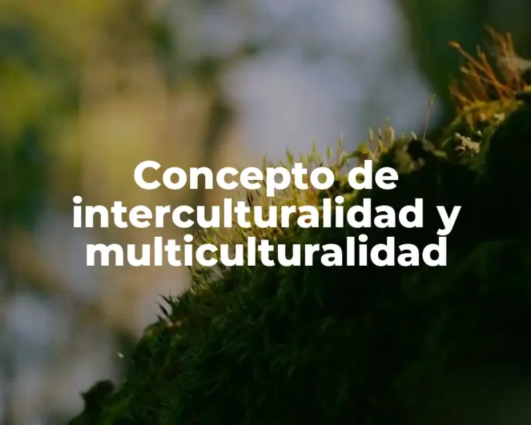 Concepto de interculturalidad y multiculturalidad