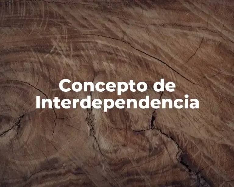 Concepto de Interdependencia