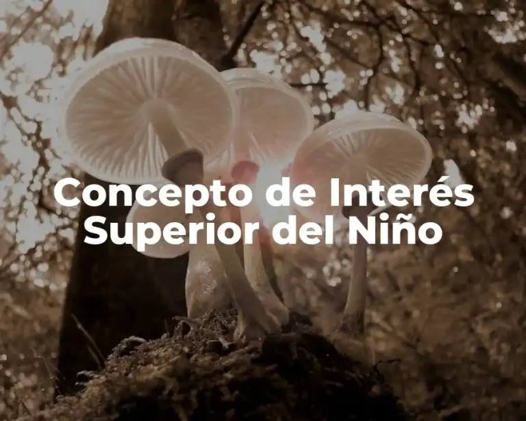 Concepto de Interés Superior del Niño