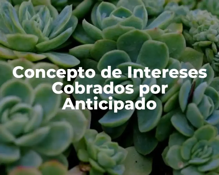 Concepto de Intereses Cobrados por Anticipado