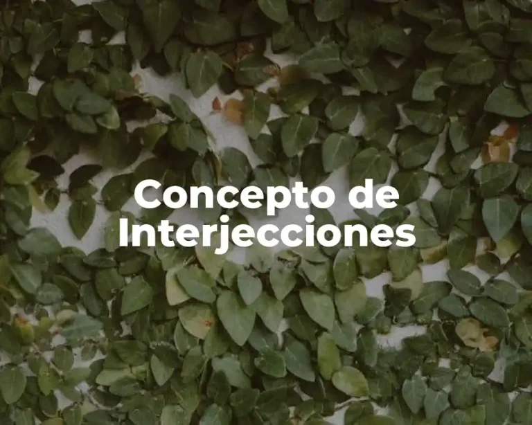 Concepto de Interjecciones