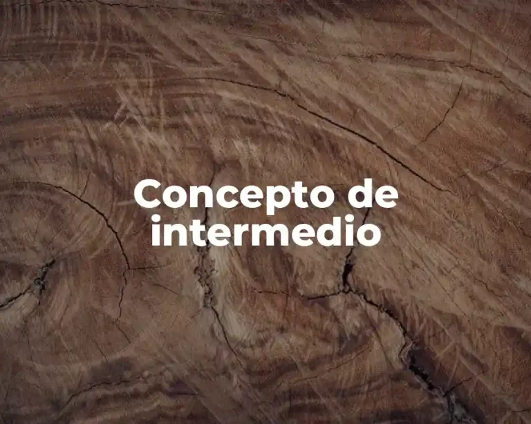 Concepto de intermedio