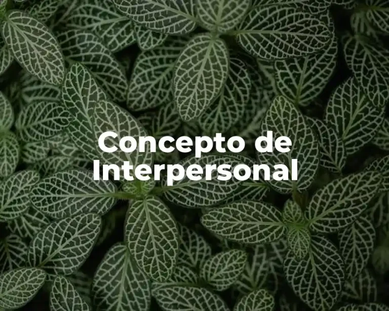 Concepto de Interpersonal