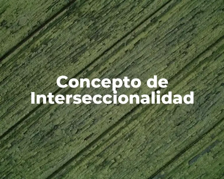 Concepto de Interseccionalidad