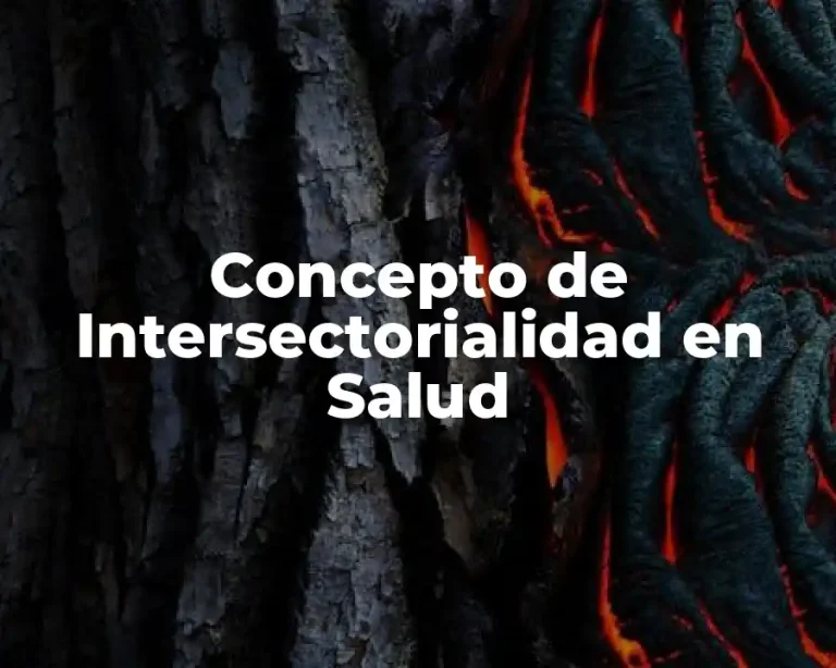 Concepto de Intersectorialidad en Salud