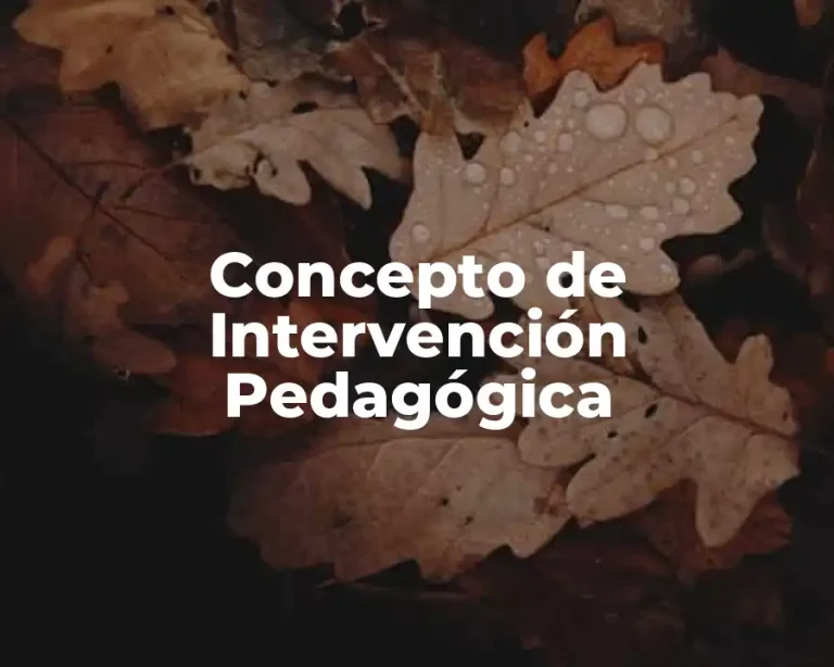Concepto de Intervención Pedagógica