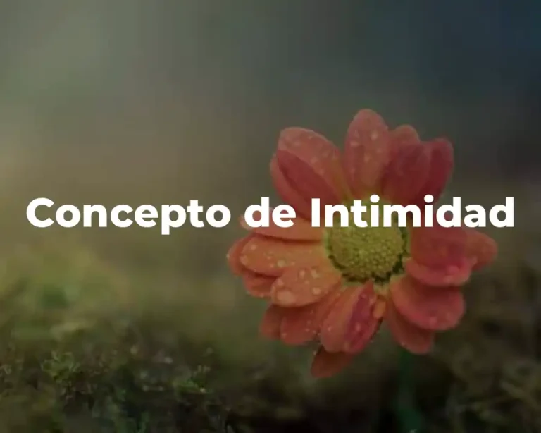 Concepto de Intimidad