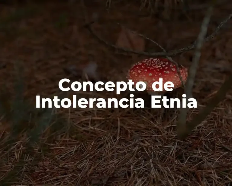Concepto de Intolerancia Etnia