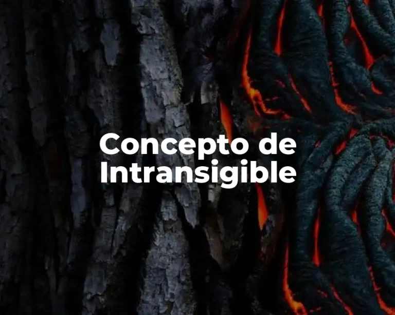 Concepto de Intransigible