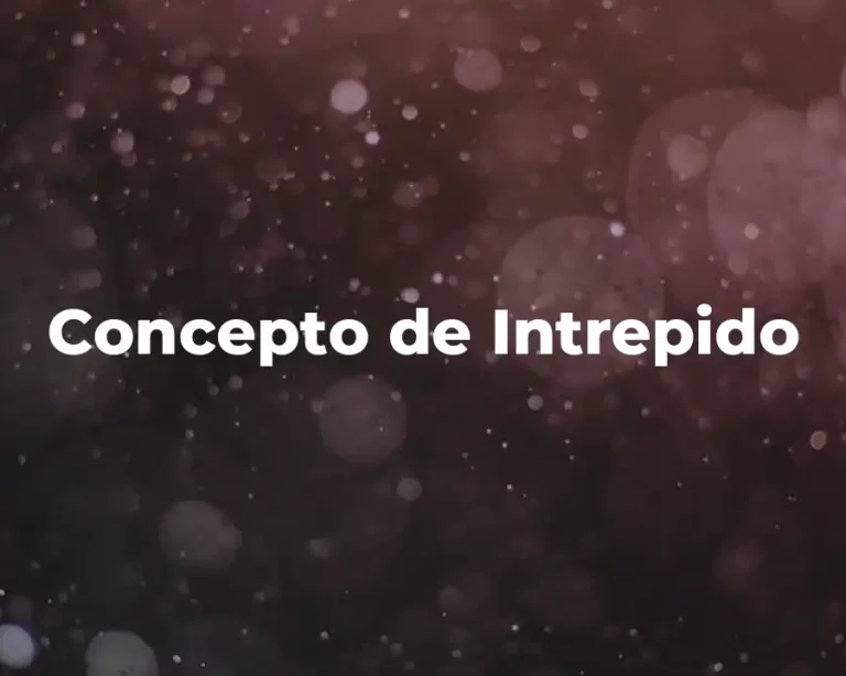 Concepto de Intrepido