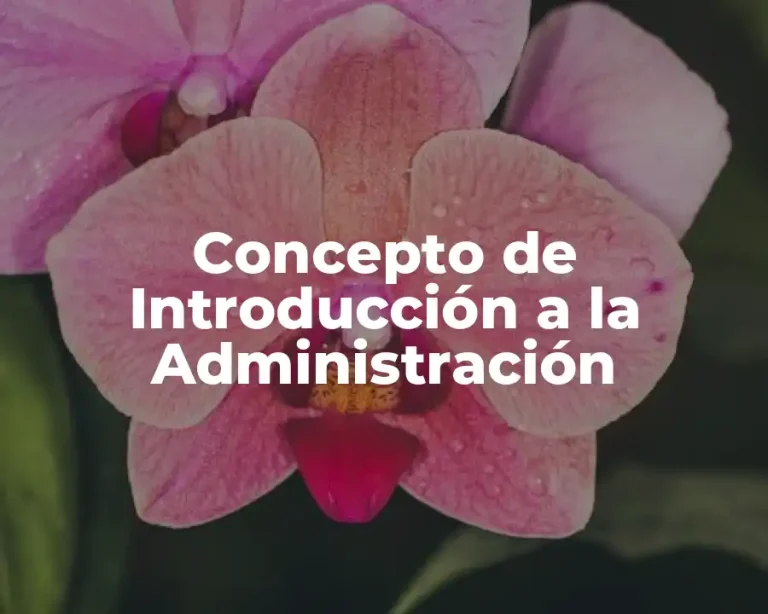 Concepto de Introducción a la Administración