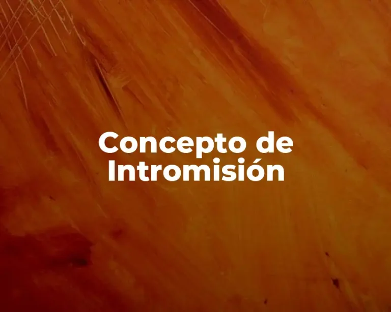 Concepto de Intromisión