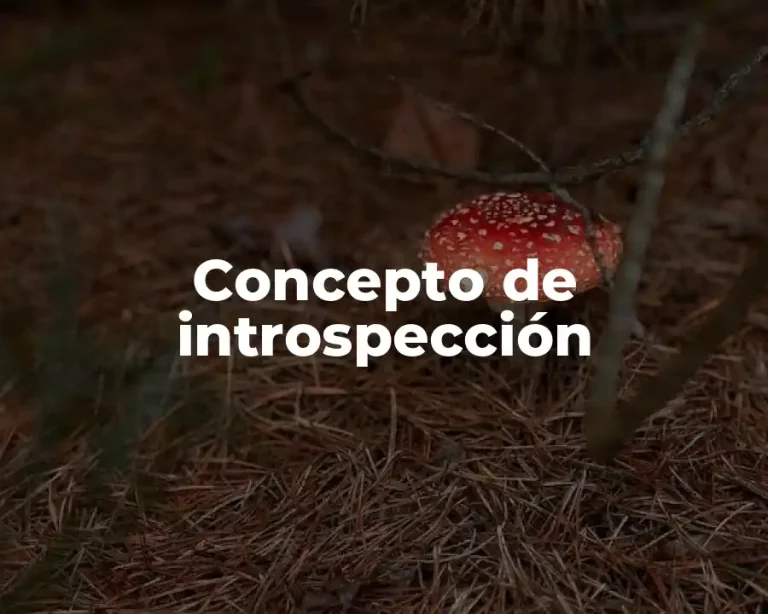 Concepto de introspección