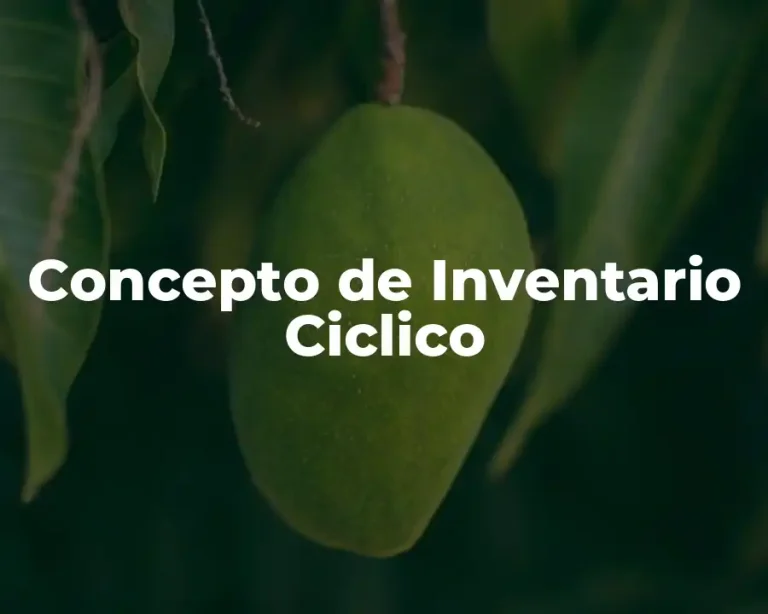 Concepto de Inventario Ciclico