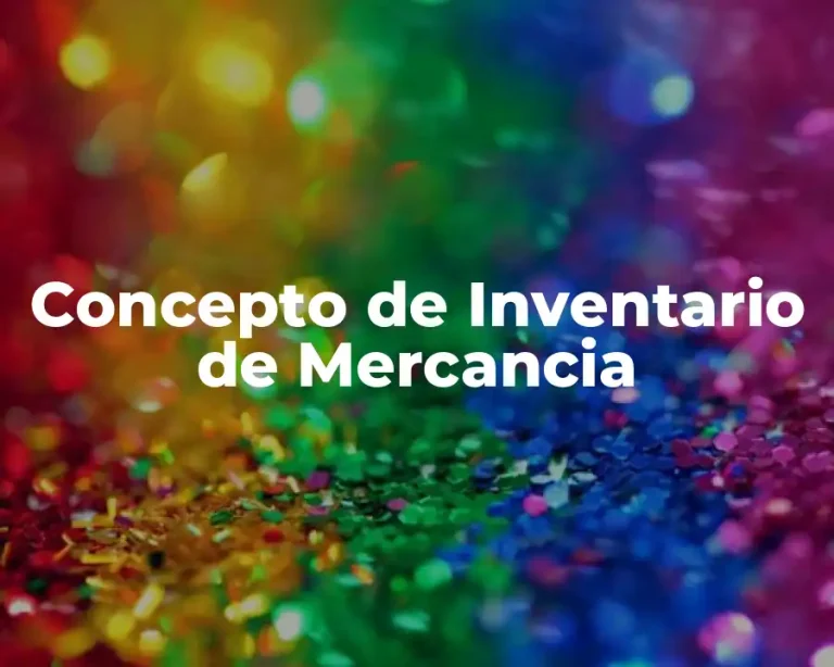 Concepto de Inventario de Mercancia