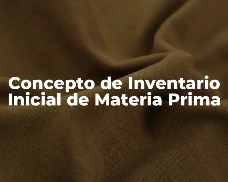 Concepto de Inventario Inicial de Materia Prima
