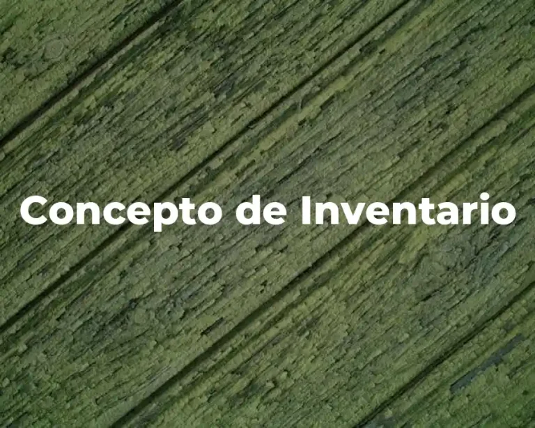 Concepto de Inventario