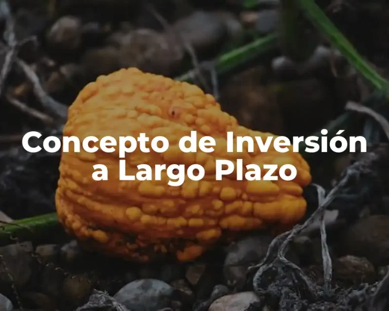 Concepto de Inversión a Largo Plazo
