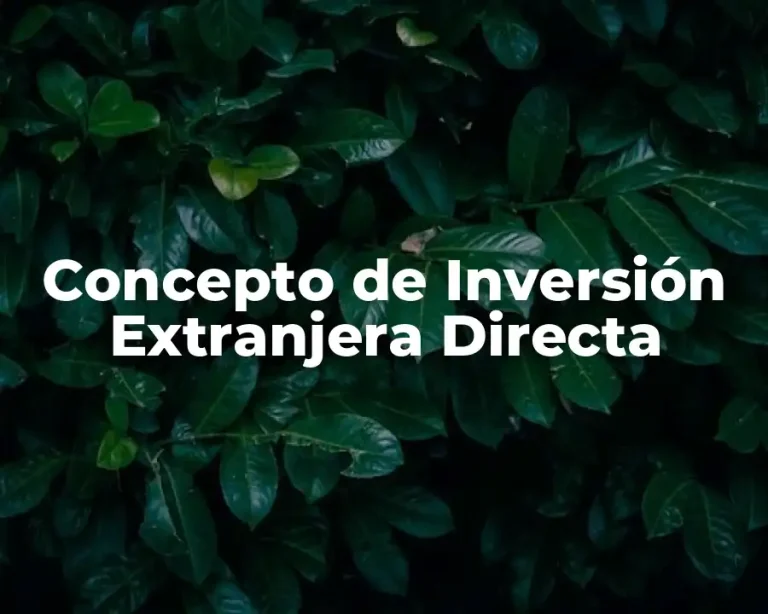 Concepto de Inversión Extranjera Directa