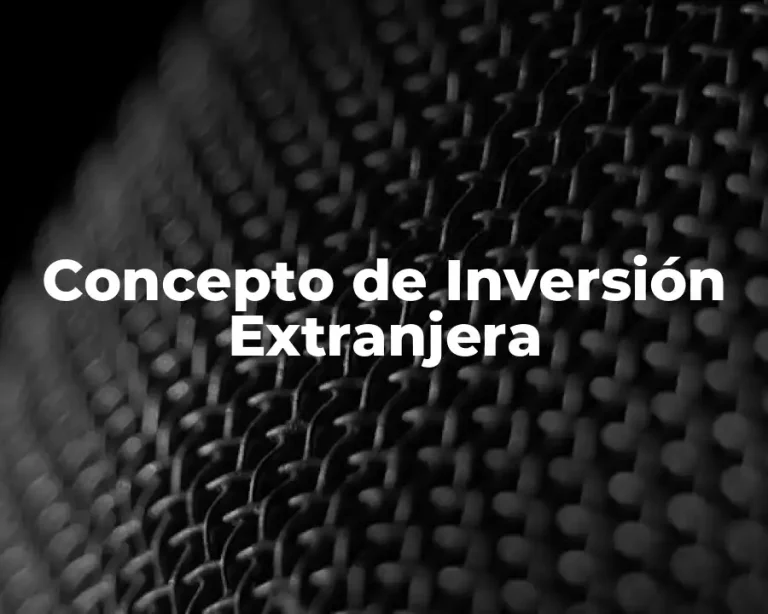 Concepto de Inversión Extranjera