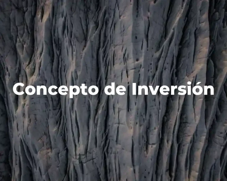 Concepto de Inversión