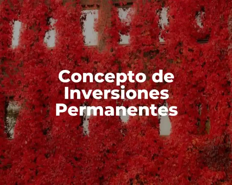 Concepto de Inversiones Permanentes