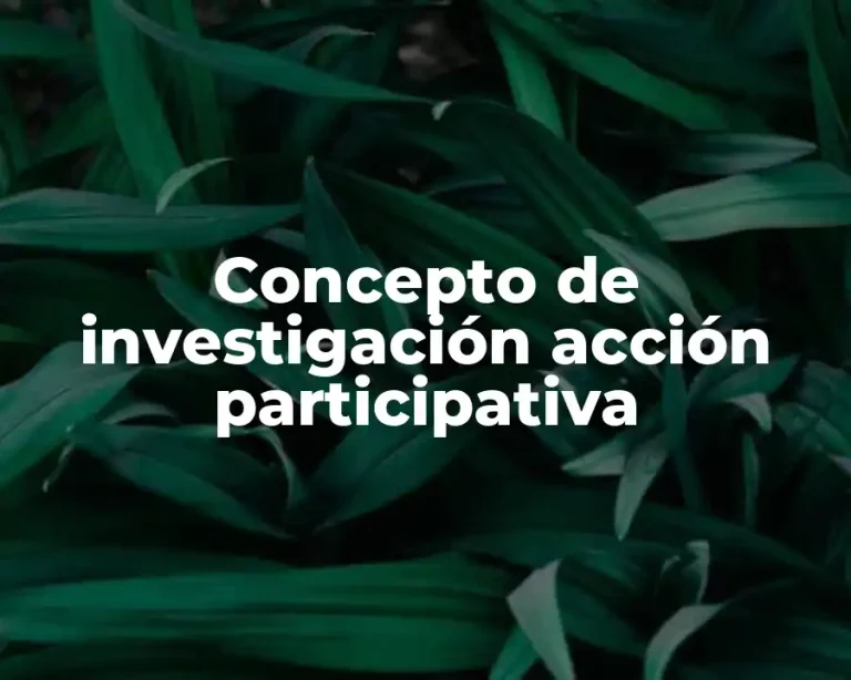 Concepto de investigación acción participativa