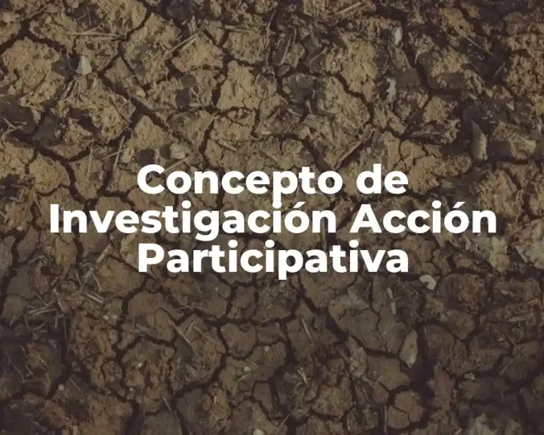 Concepto de Investigación Acción Participativa