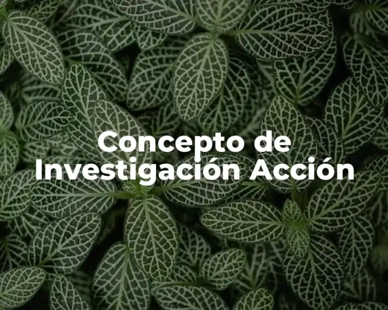 Concepto de Investigación Acción