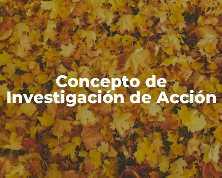 Concepto de Investigación de Acción