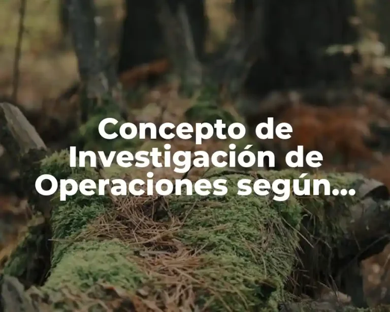 Concepto de Investigación de Operaciones según Autores