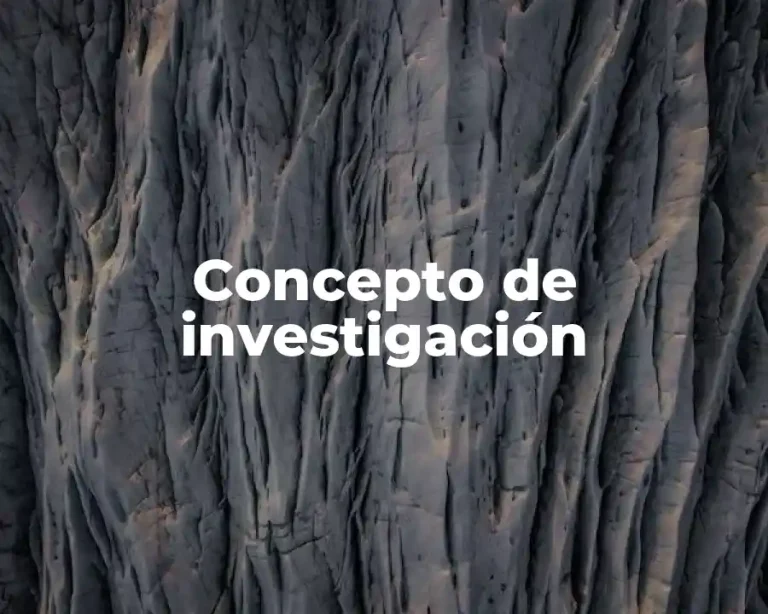 Concepto de investigación