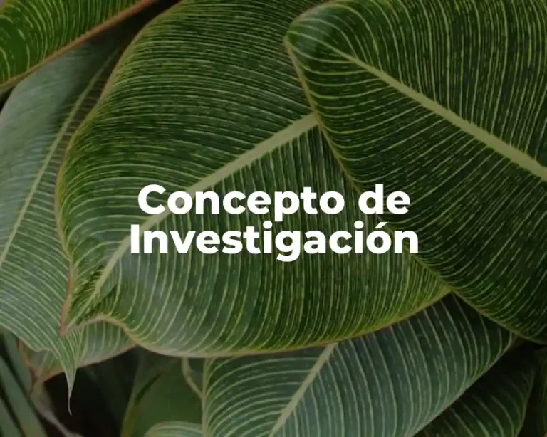 Concepto de Investigación