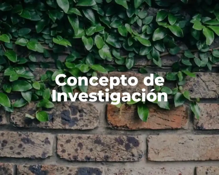 Concepto de Investigación