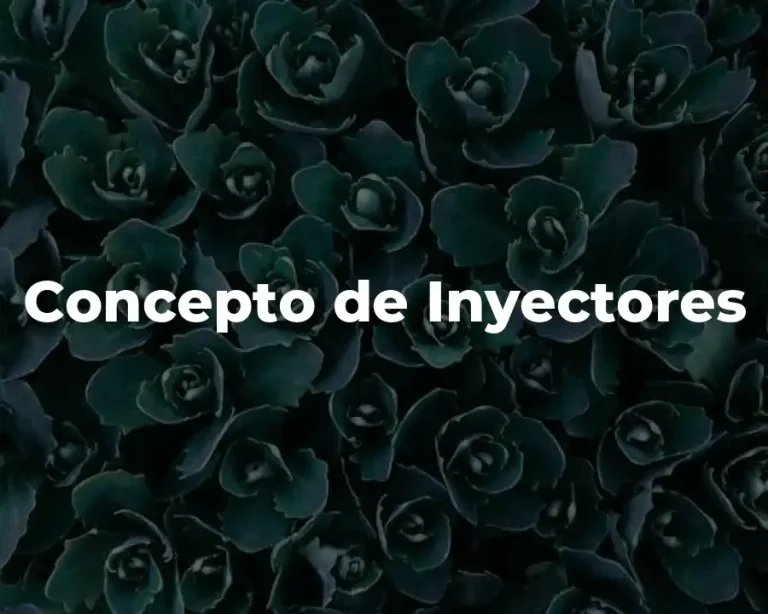 Concepto de Inyectores