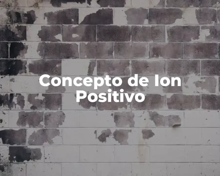 Concepto de Ion Positivo