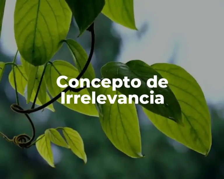 Concepto de Irrelevancia