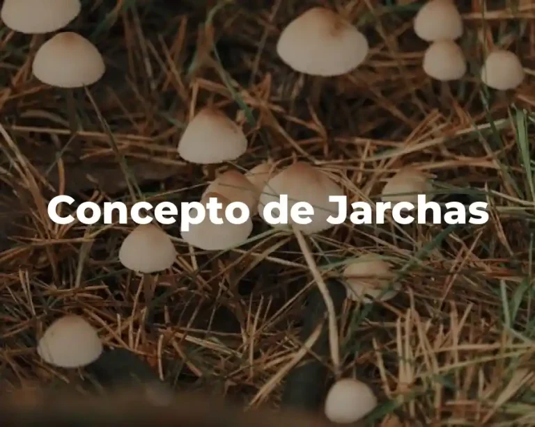 Concepto de Jarchas