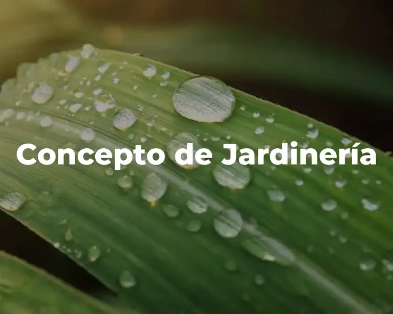 Concepto de Jardinería