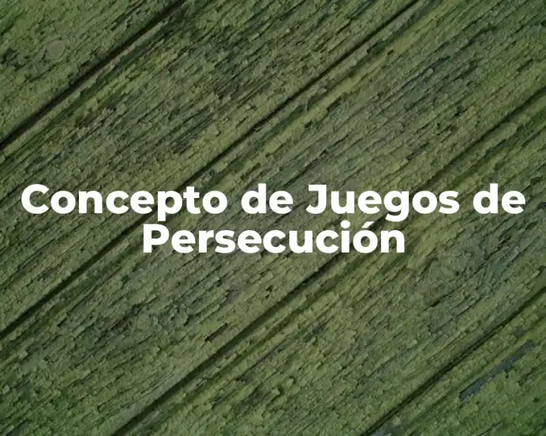 Concepto de Juegos de Persecución
