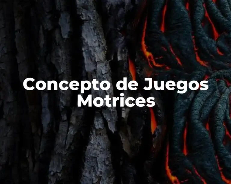 Concepto de Juegos Motrices