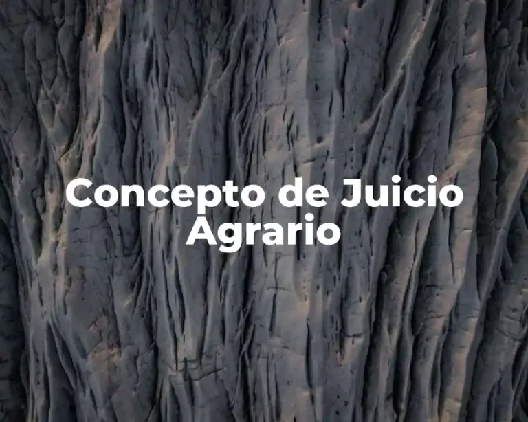 Concepto de Juicio Agrario