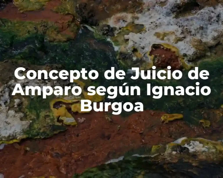 Concepto de Juicio de Amparo según Ignacio Burgoa