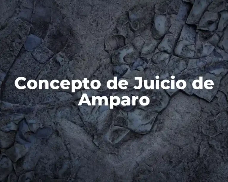 Concepto de Juicio de Amparo