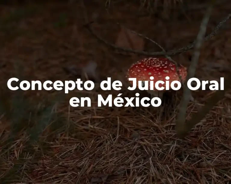 Concepto de Juicio Oral en México