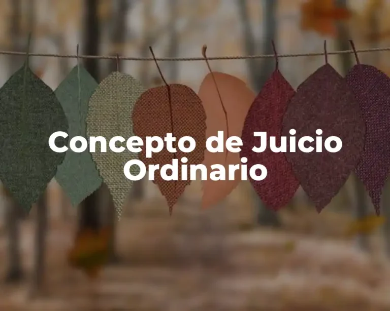 Concepto de Juicio Ordinario
