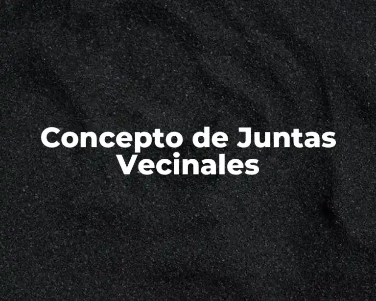 Concepto de Juntas Vecinales