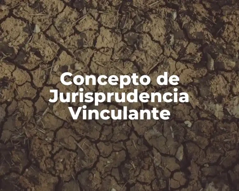 Concepto de Jurisprudencia Vinculante