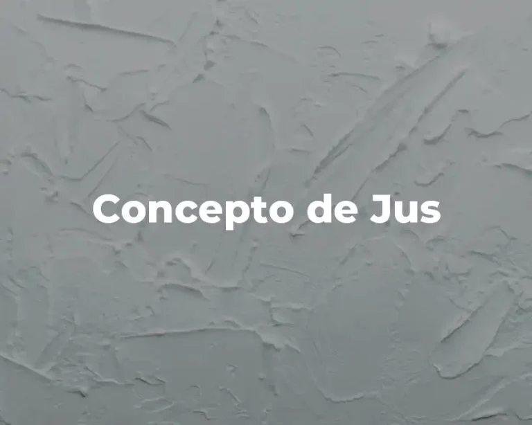 Concepto de Jus